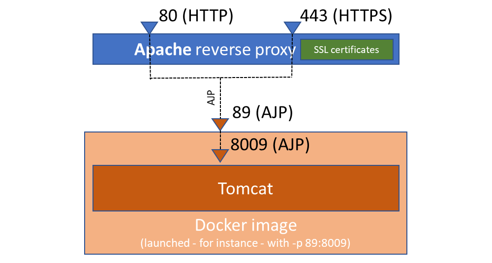 Docker AJP reverse proxying
